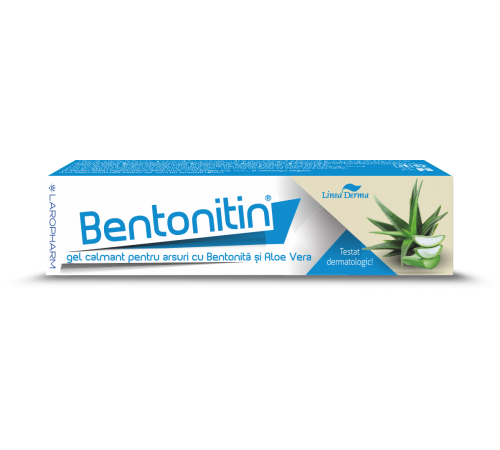 Bentonitin